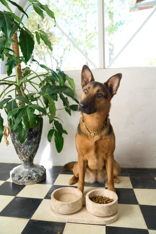 The Millie & Maple Bowl Set